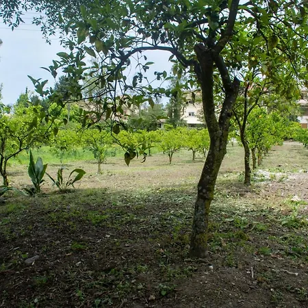 Corfu Town Mini Private Pool Gardens * Mantouki