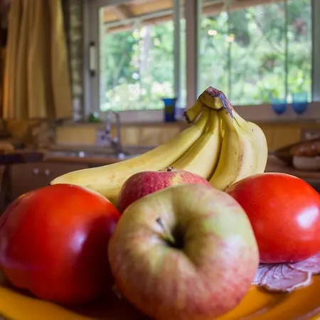 Corfu Town Mini Private Pool Gardens