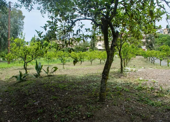 Corfu Town Mini Private Pool Gardens * Mantouki