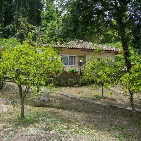 Corfu Town Mini Private Pool Gardens Mantouki