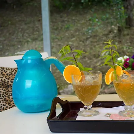 Corfu Town Mini Private Pool Gardens Mantouki